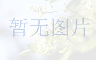 溫嶺美雅服裝輔料有限公司 溫嶺美雅服裝輔料有限公司