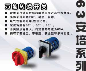 63安培系列萬(wàn)能轉(zhuǎn)換開(kāi)關(guān) 